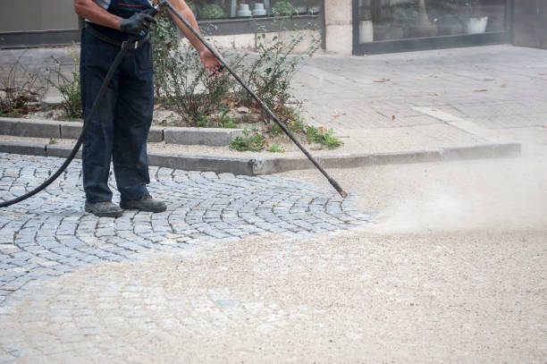 Best Boat and Dock Cleaning  in South Gate Ridge, FL